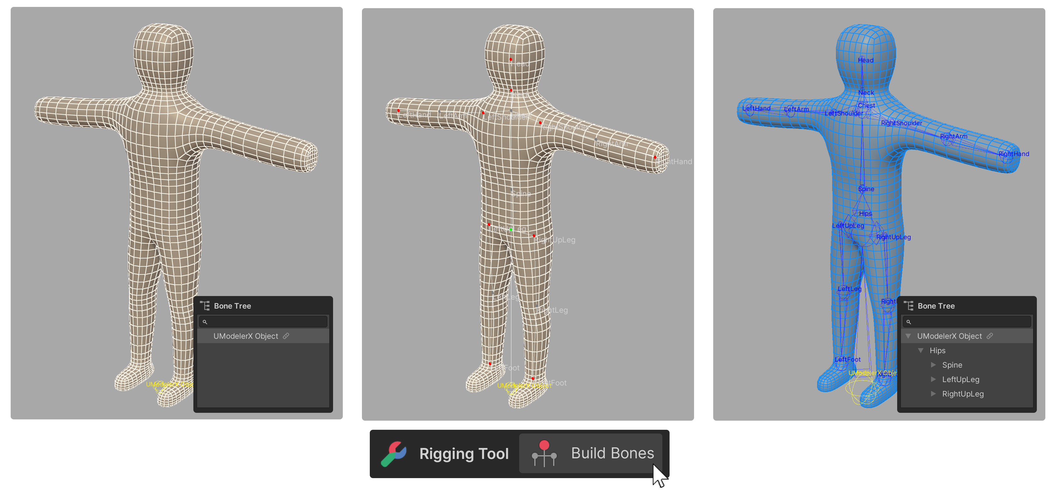 Build Bones